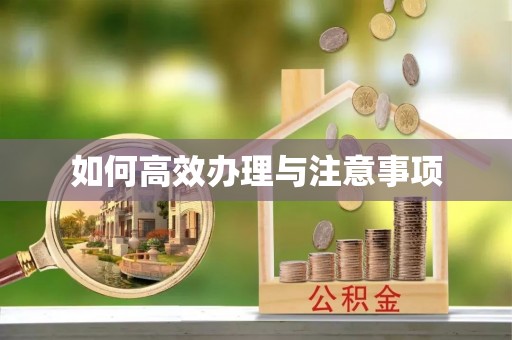 庆元如何高效办理与注意事项