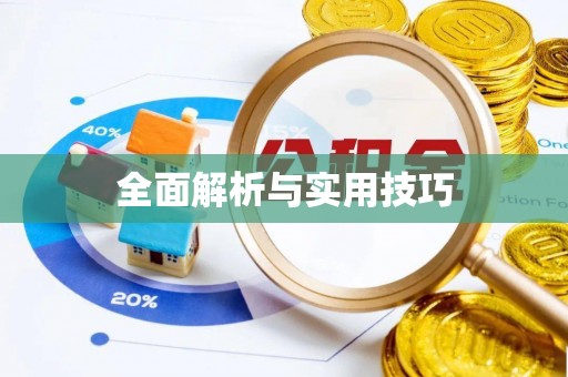 庆元全面解析与实用技巧