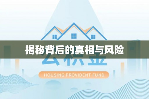 庆元揭秘背后的真相与风险
