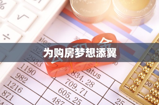 庆元为购房梦想添翼