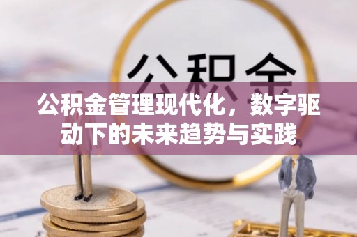 庆元公积金管理现代化，数字驱动下的未来趋势与实践