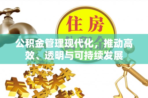 庆元公积金管理现代化，推动高效、透明与可持续发展