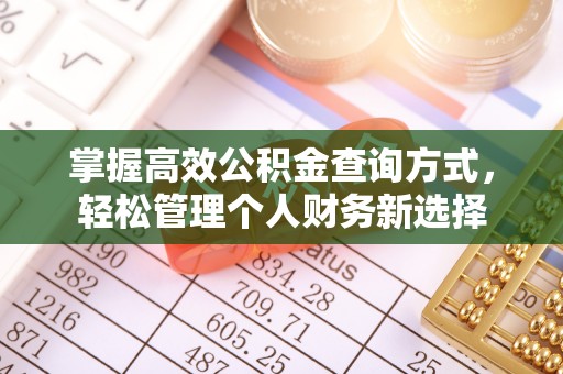 庆元掌握高效公积金查询方式，轻松管理个人财务新选择
