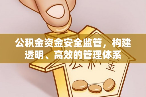 庆元公积金资金安全监管，构建透明、高效的管理体系