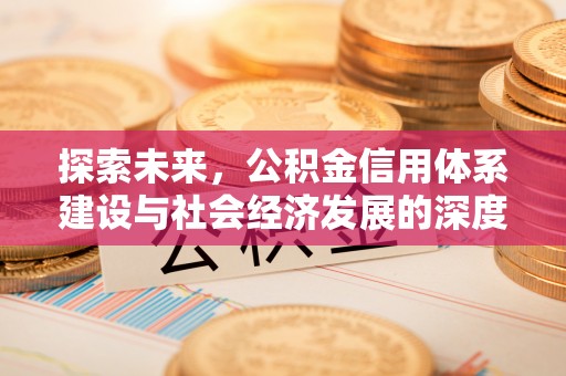 庆元探索未来，公积金信用体系建设与社会经济发展的深度融合