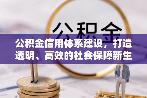 庆元公积金信用体系建设，打造透明、高效的社会保障新生态