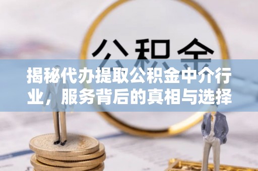 庆元揭秘代办提取公积金中介行业，服务背后的真相与选择指南