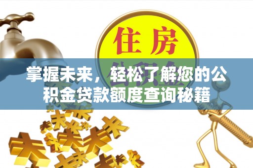 庆元掌握未来，轻松了解您的公积金贷款额度查询秘籍