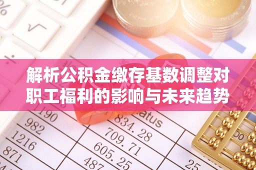 庆元解析公积金缴存基数调整对职工福利的影响与未来趋势