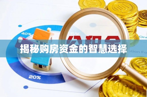 庆元揭秘购房资金的智慧选择