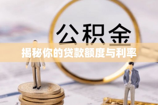 庆元揭秘你的贷款额度与利率