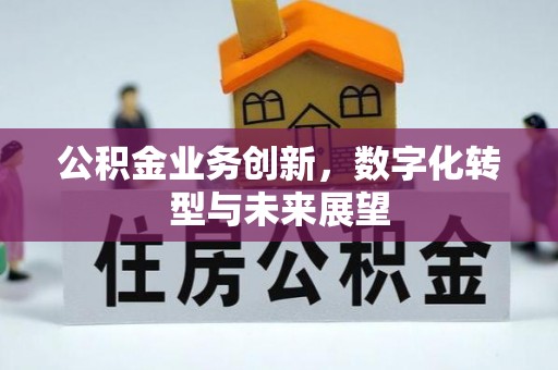庆元公积金业务创新，数字化转型与未来展望