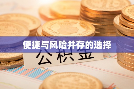 庆元便捷与风险并存的选择