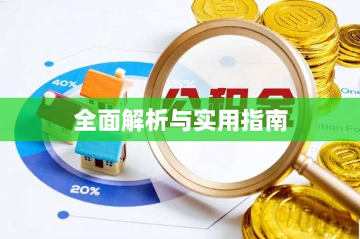 庆元全面解析与实用指南