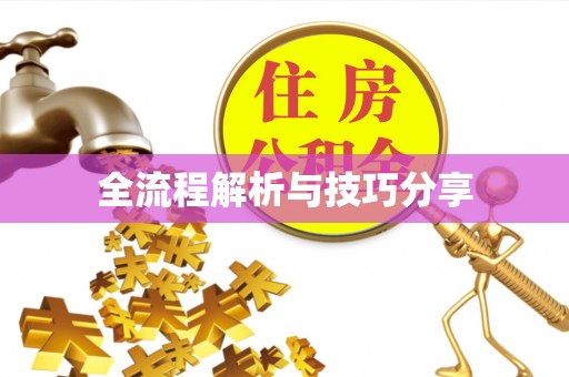 庆元全流程解析与技巧分享